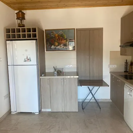 Apartament Theonikoshouse *